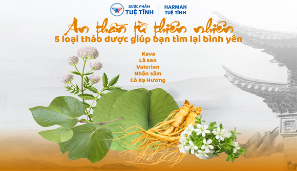 An thần từ thiên nhiên: 5 loại thảo dược giúp bạn tìm lại bình yên 