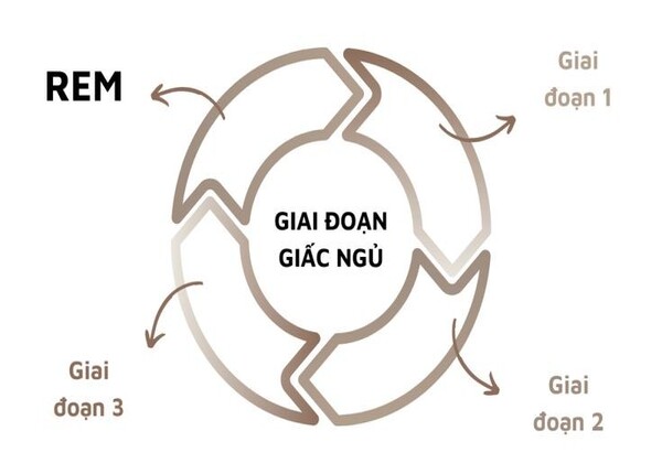 Giấc ngủ NREM, giai đoạn này có thúc đẩy nhận thức? 