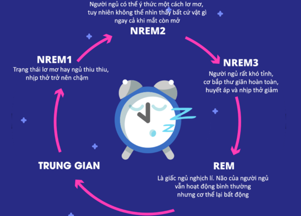 Giai đoạn REM trong giấc ngủ: Đặc điểm và vai trò 
